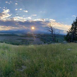 Meet your Posher, Leslie